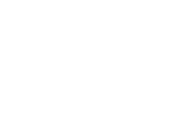 RedShield Security Service